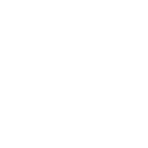 Spay & Neuter Services Icon